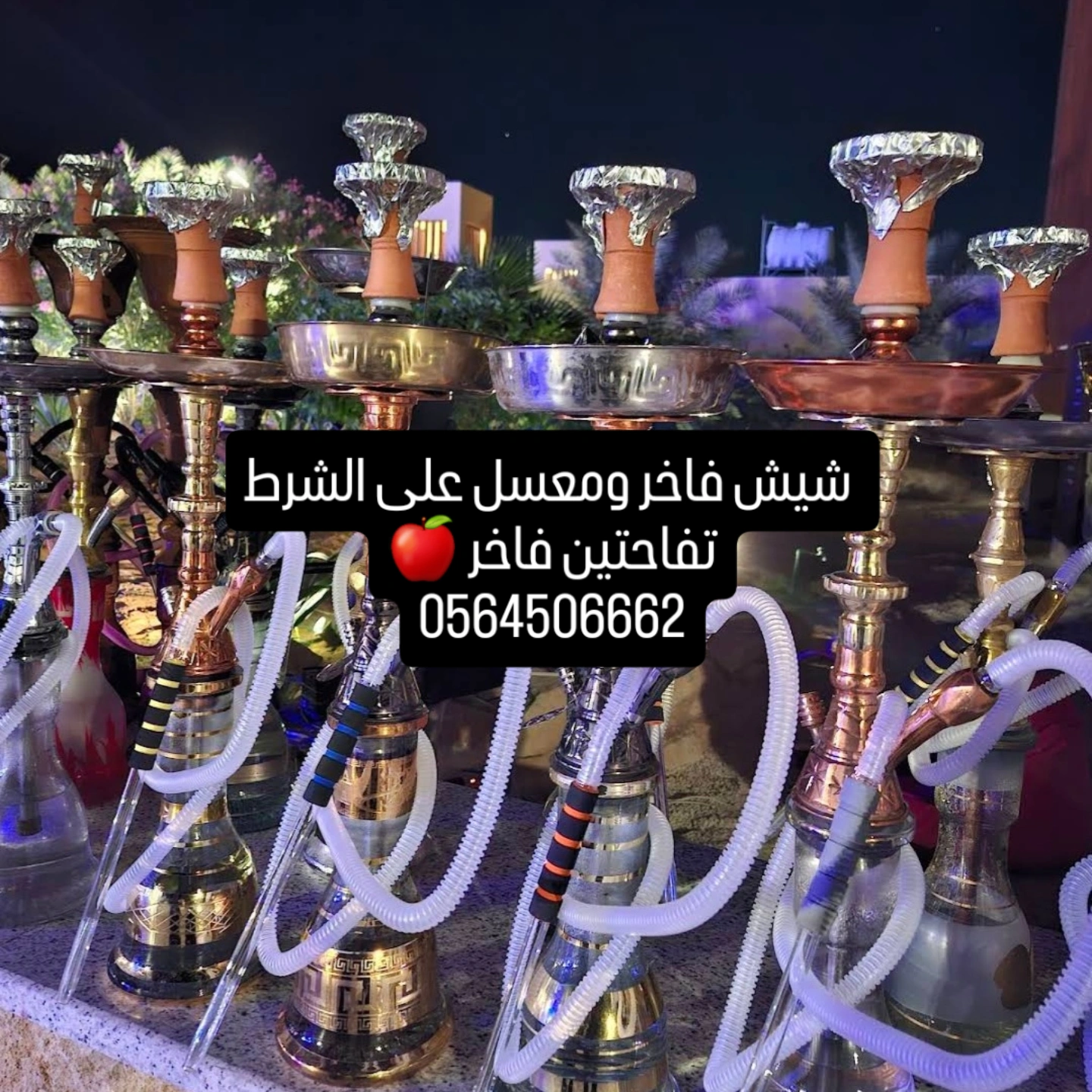 #تأجير_وبيع _وارجله _ومعسلات